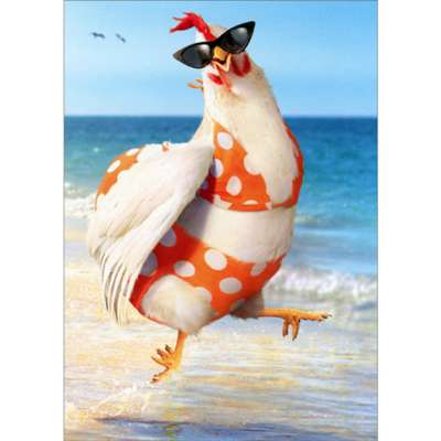 Chicken Jockettes