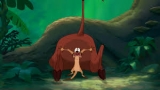 Hakuna Matata Profile Picture