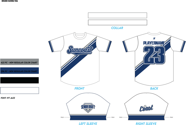 Paid to Play II Jersey