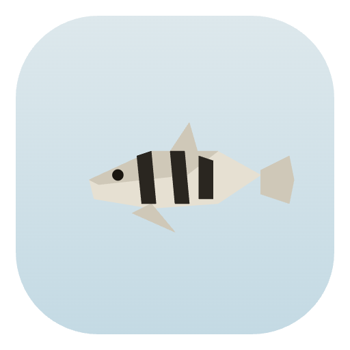 Indy North Archerfish