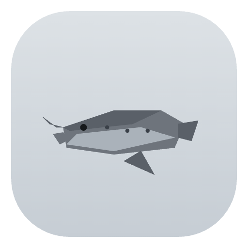 Indy South Leopard Seals